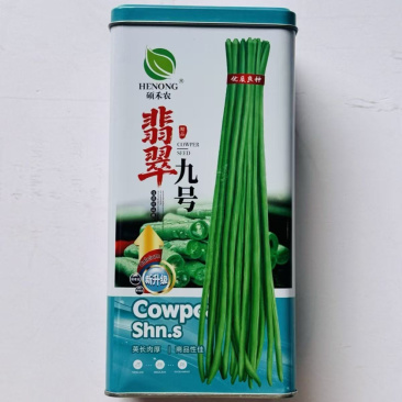 翡翠九号长豆角种子翠绿色不鼓粒，种子