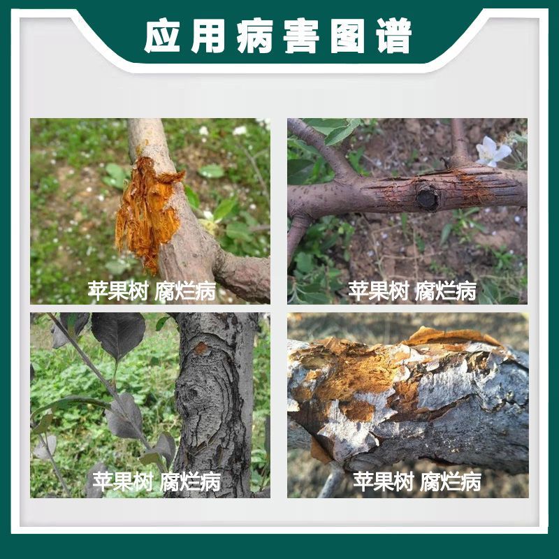 沪联禾悦5%辛菌胺醋酸盐农用苹果树腐烂病杀菌剂水剂