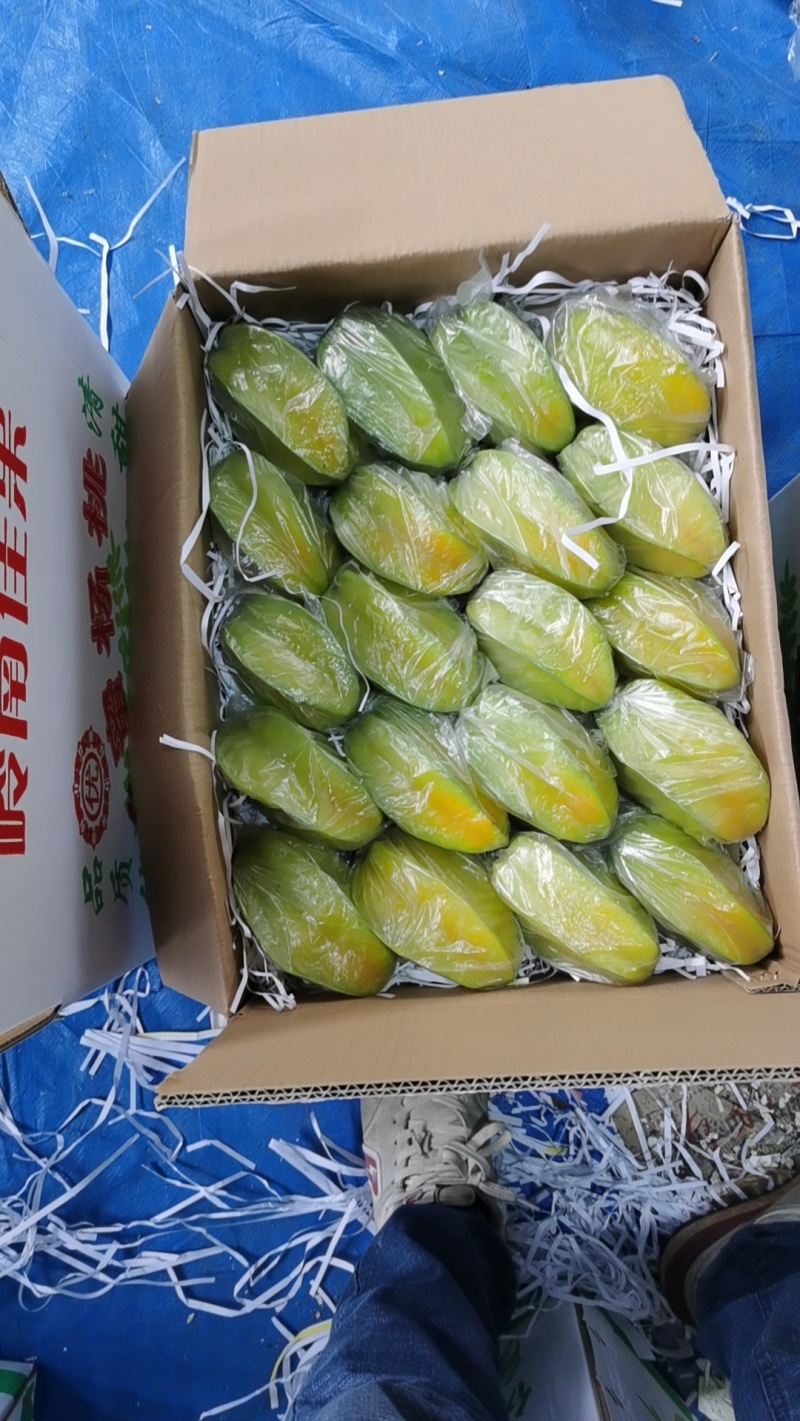 杨桃