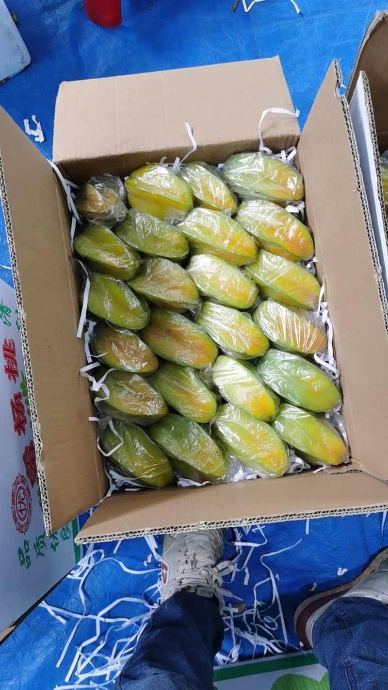 杨桃