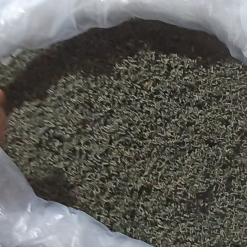 高山金牡丹茶叶产地直发量大从优质量保证诚信经营