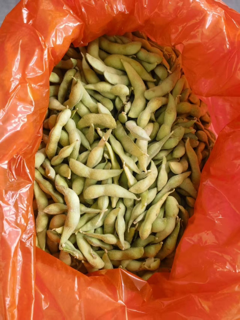 出口级青豆