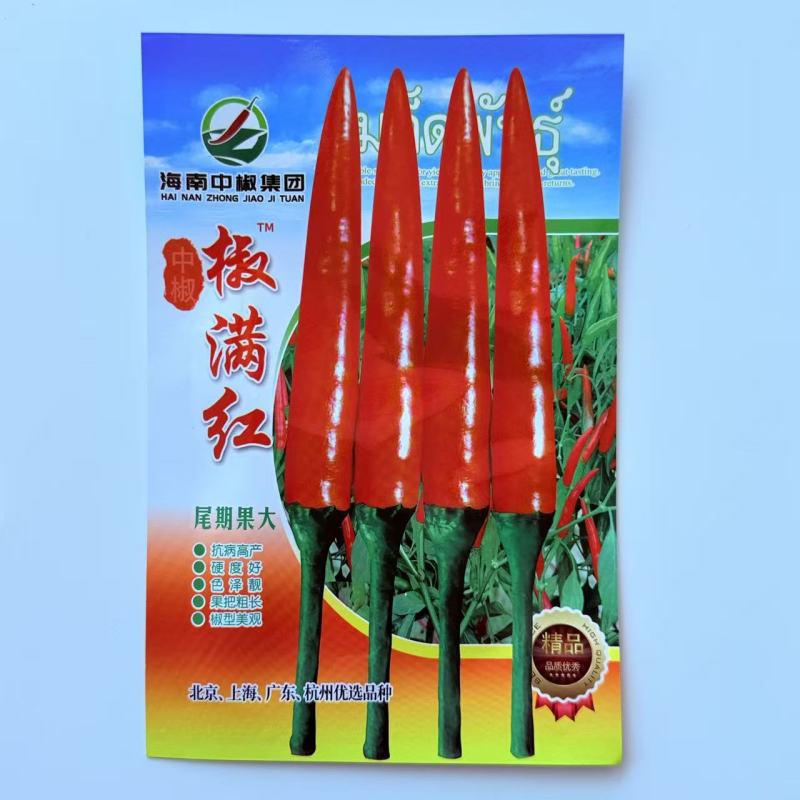新红霸王大果朝天椒种耐寒高产硬度好春季大田基地种植尖椒种