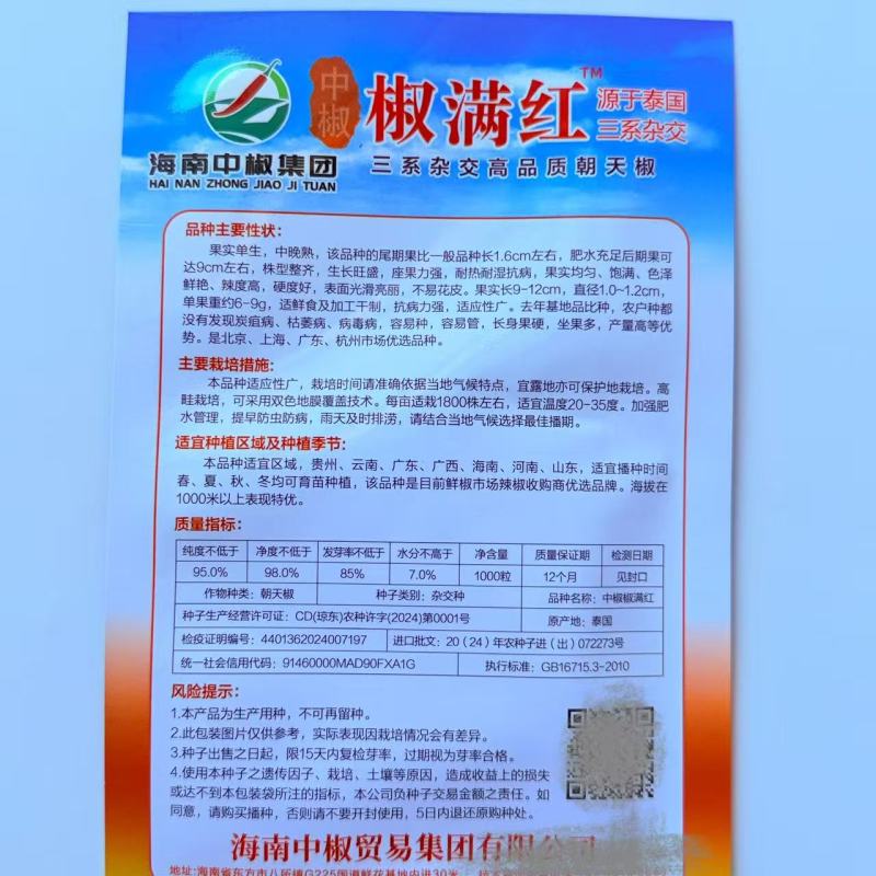 新红霸王大果朝天椒种耐寒高产硬度好春季大田基地种植尖椒种