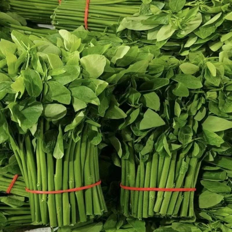 新鲜采摘树仔菜酒店私房菜