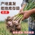 河南精品鲜货，电商代发，通货，批发，零售，