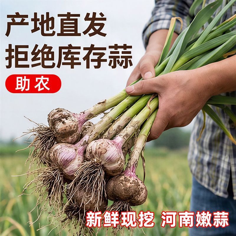 河南精品鲜货，电商代发，通货，批发，零售，