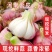 河南精品鲜货，电商代发，通货，批发，零售，