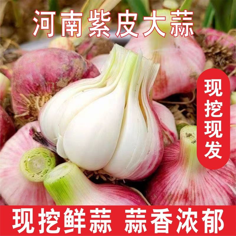 河南精品鲜货，电商代发，通货，批发，零售，
