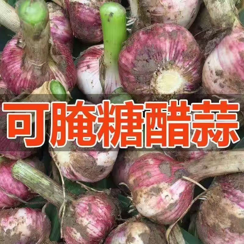河南精品鲜货，电商代发，通货，批发，零售，