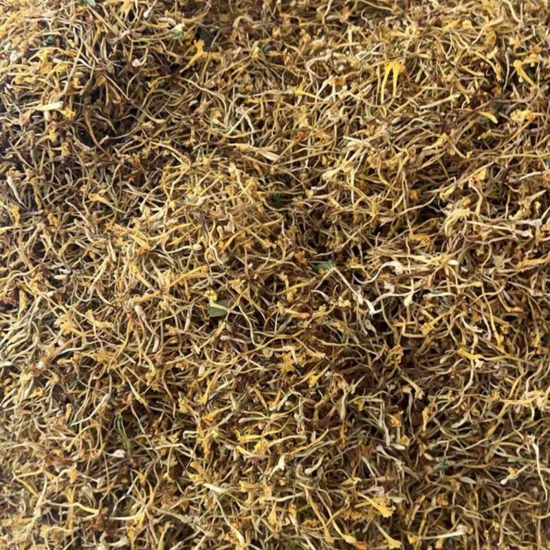 野生金银花