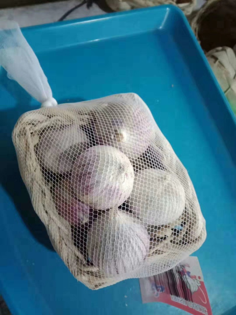 精品独头蒜，产地大量发货，价格优惠，代收代存