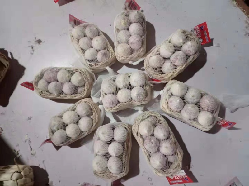 精品独头蒜，产地大量发货，价格优惠，代收代存