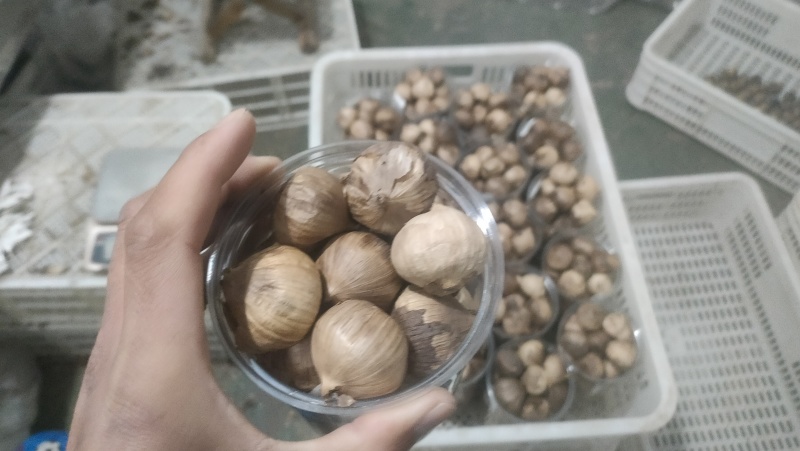 【一件代发】【店长推荐】出口级精品独头黑蒜发酵黑蒜