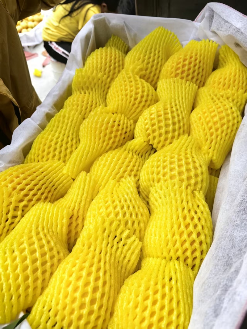早熟黄桃