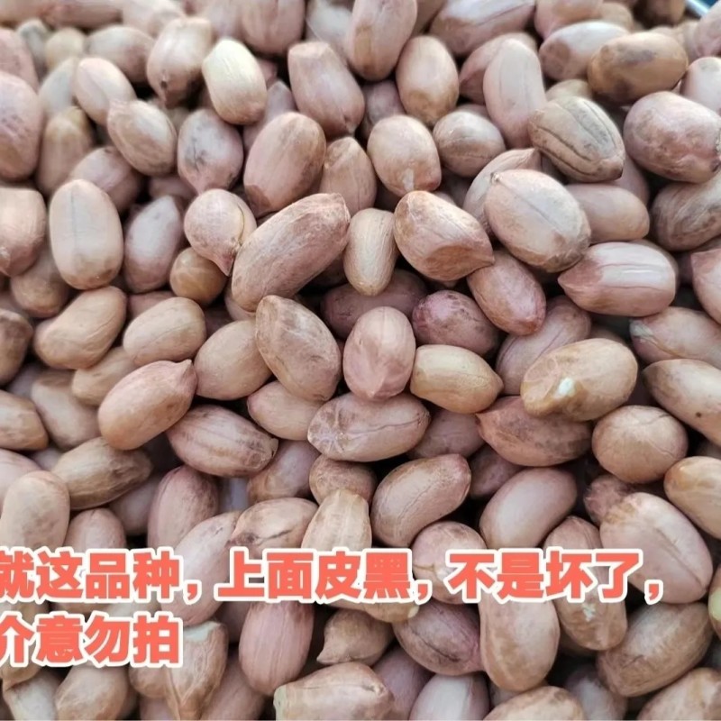 红崖子当地花生米，大量有货，支持一件代发，对接个大电商