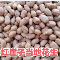 红崖子当地花生米，大量有货，支持一件代发，对接个大电商