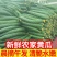 新鲜现摘黄瓜电商发货可代发
