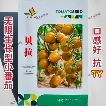 贝拉小番茄种子无限生长型香甜黄绿色樱桃番茄种籽水果番茄种