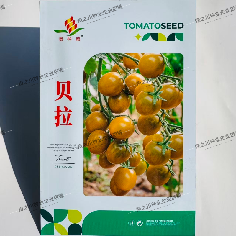 贝拉小番茄种子无限生长型香甜黄绿色樱桃番茄种籽水果番茄种