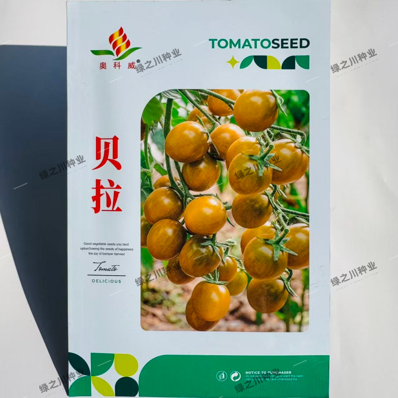 贝拉小番茄种子无限生长型香甜黄绿色樱桃番茄种籽水果番茄种