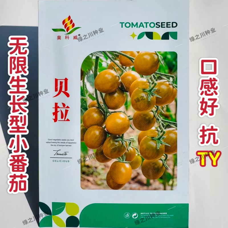 贝拉小番茄种子无限生长型香甜黄绿色樱桃番茄种籽水果番茄种