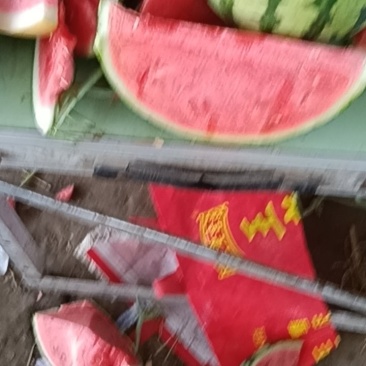 万亩美都西瓜大量上市，本市场货多，欢迎客户前来采购。