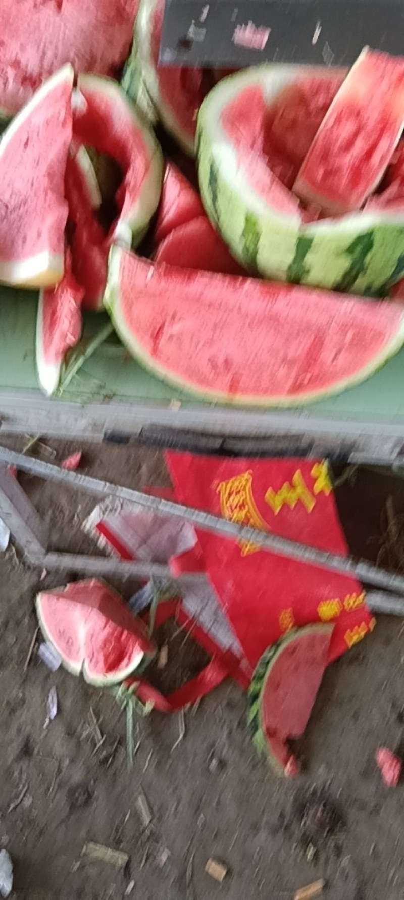 万亩美都西瓜大量上市，本市场货多，欢迎客户前来采购。