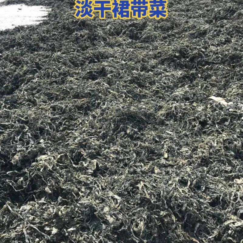 淡干裙带菜