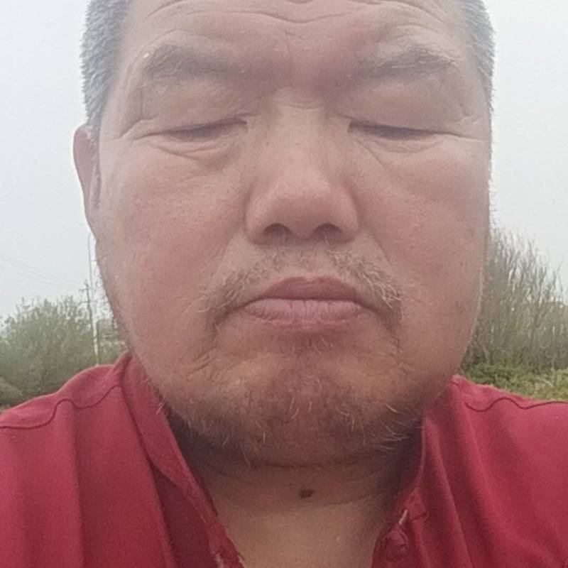 卤水豆腐