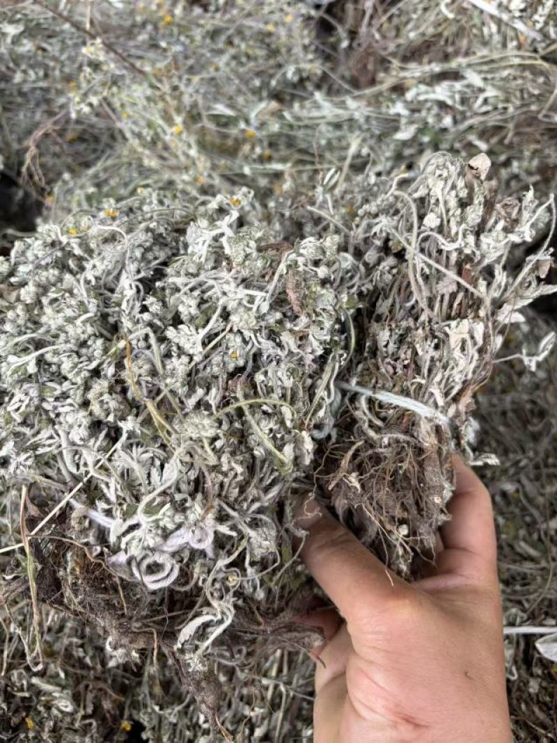 精品翻白草