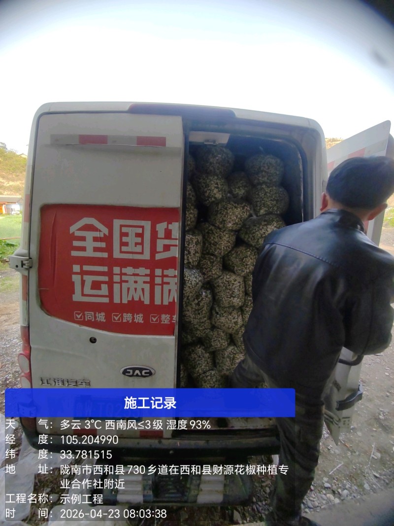 2026年槐花上市了，甘肃货，**的槐花，今日槐花价格。