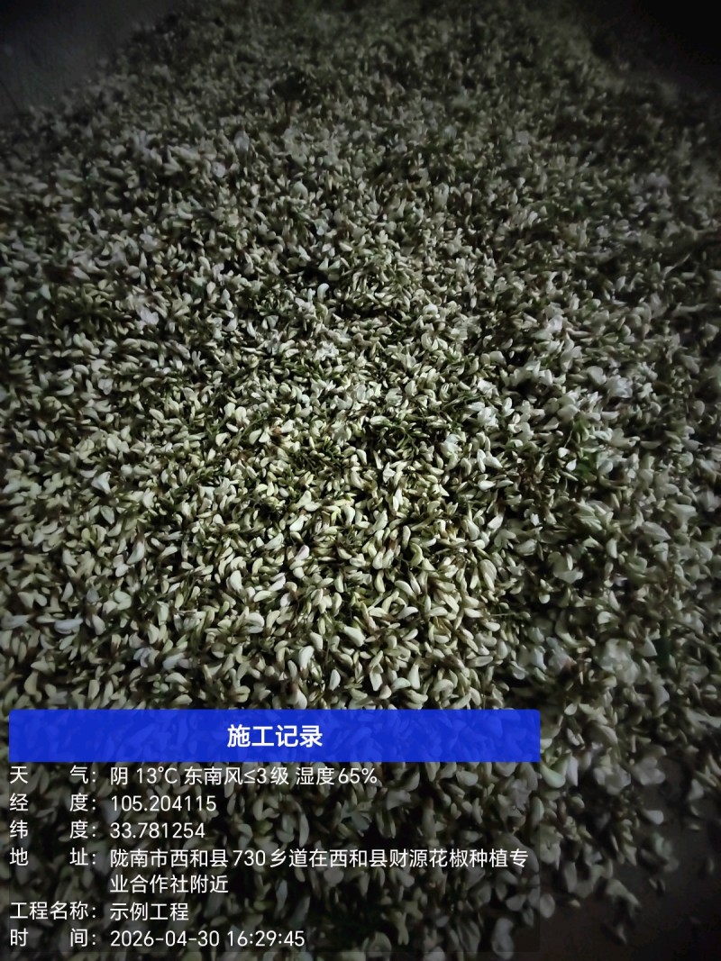 2026年槐花上市了，甘肃货，**的槐花，今日槐花价格。