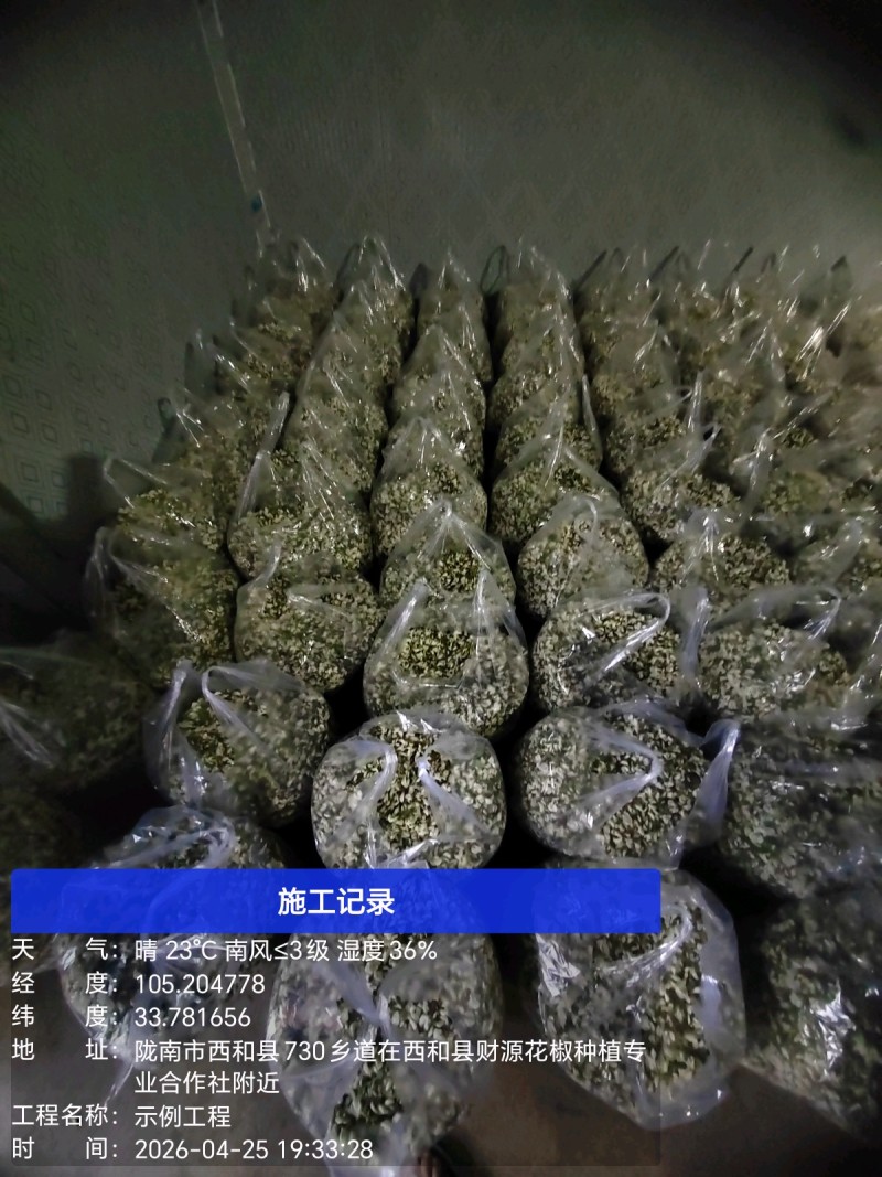 2026年槐花上市了，甘肃货，**的槐花，今日槐花价格。