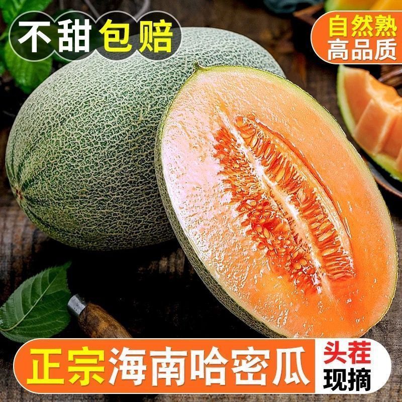 【彩箱】5斤正宗海南哈密瓜新鲜应季蜜瓜水果脆甜西州蜜包邮