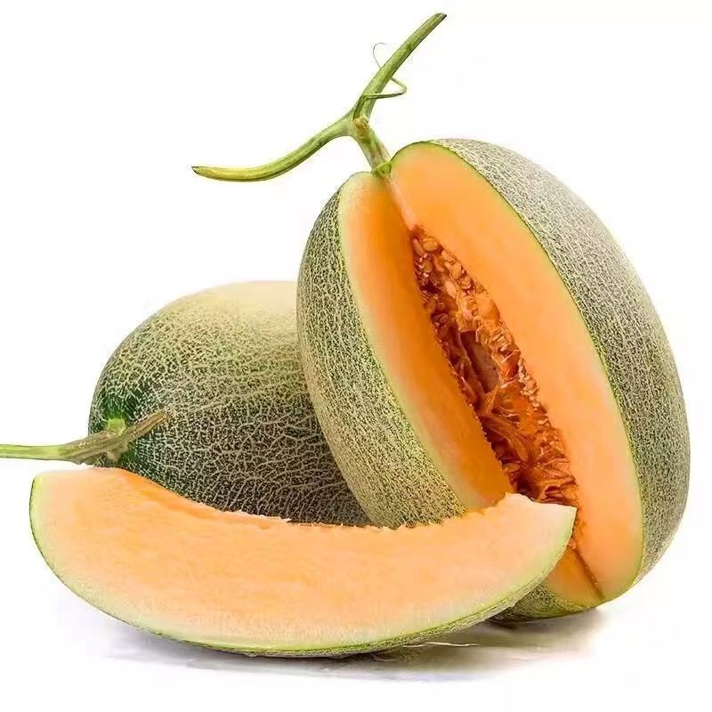 【彩箱】5斤正宗海南哈密瓜新鲜应季蜜瓜水果脆甜西州蜜包邮