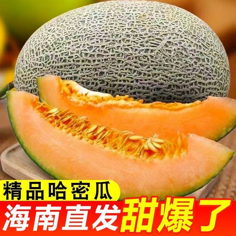 【彩箱】5斤正宗海南哈密瓜新鲜应季蜜瓜水果脆甜西州蜜包邮