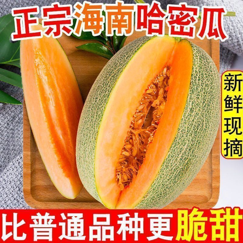 【彩箱】5斤正宗海南哈密瓜新鲜应季蜜瓜水果脆甜西州蜜包邮