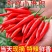 小米椒两斤新鲜新鲜现采摘现发朝天椒全红小米椒可做泡椒