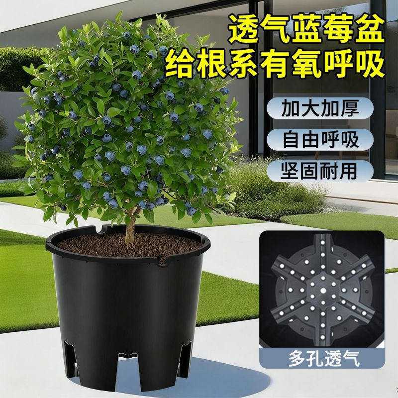 加厚蓝莓种植专用盆河北廊坊文安县工厂直发果树绿植通用花盆