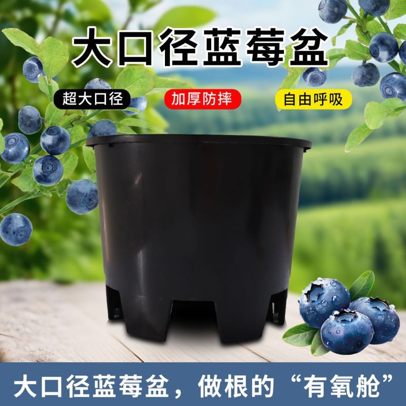 加厚蓝莓种植专用盆河北廊坊文安县工厂直发果树绿植通用花盆