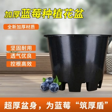 加厚蓝莓种植专用盆河北廊坊文安县工厂直发果树绿植通用花盆