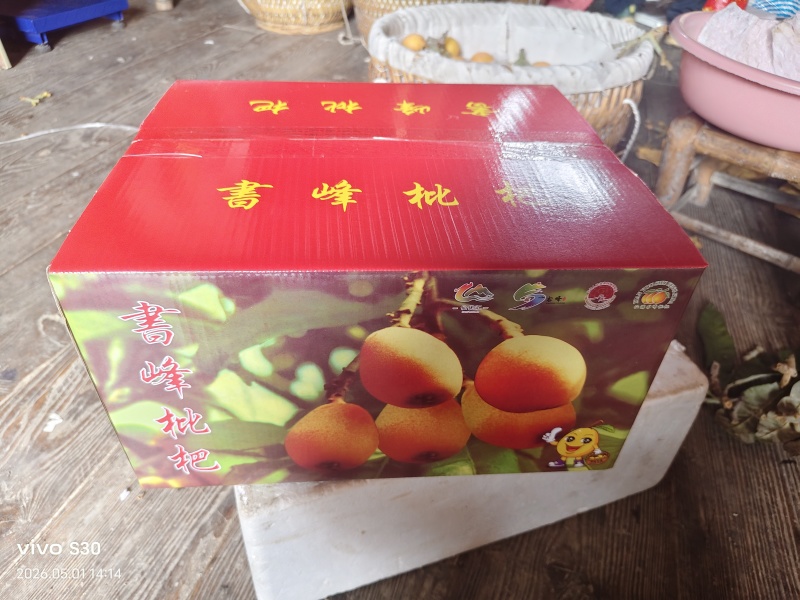 白玉枇杷精品大果皮薄肉厚汁水足电商供货微商一件代发