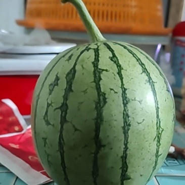 佳秀