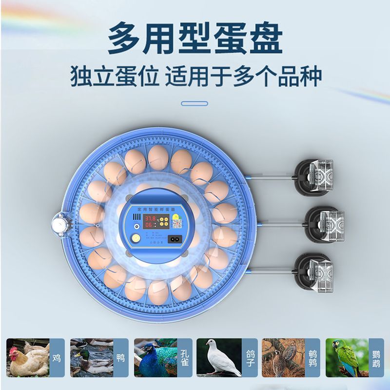 飞碟孵化器全自动智能小型家用鹅蛋鸭鸡蛋鸟蛋芦丁鸡孵化箱孵