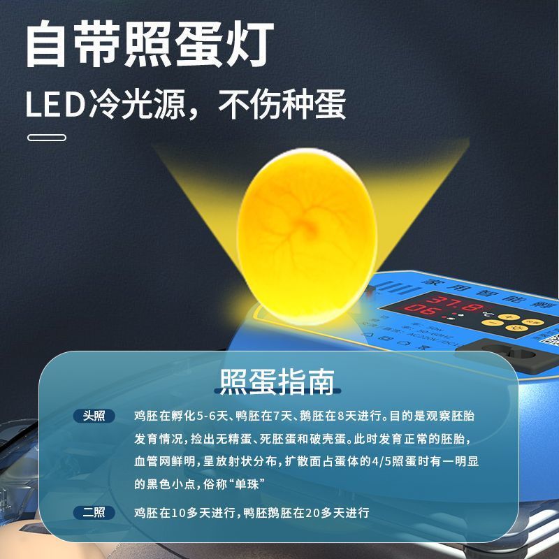 飞碟孵化器全自动智能小型家用鹅蛋鸭鸡蛋鸟蛋芦丁鸡孵化箱孵