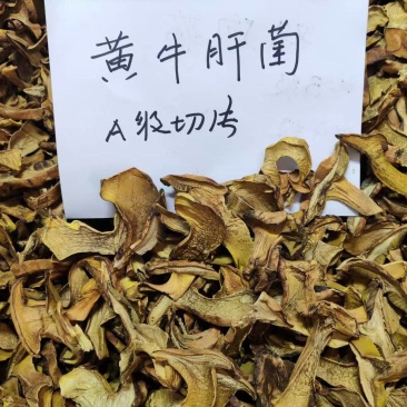 人工见手青黄牛肝菌通货切片烘干干片干品