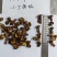 人工见手青黄牛肝菌通货切片烘干干片干品