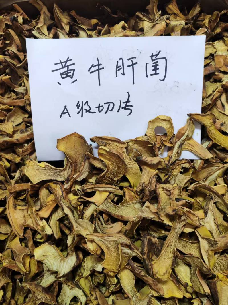 人工见手青黄牛肝菌通货切片烘干干片干品