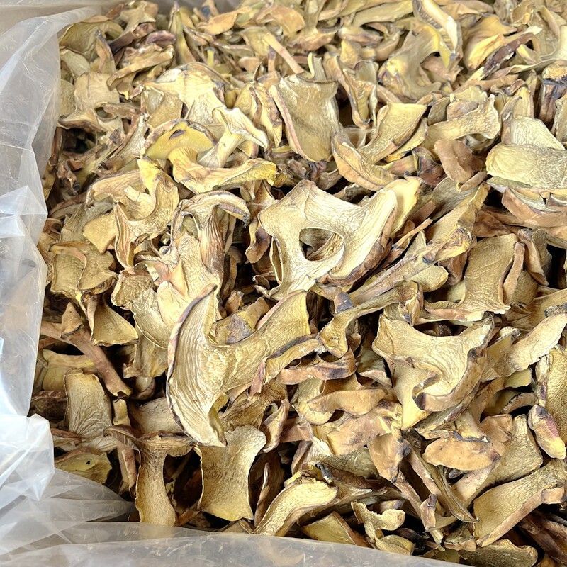 人工见手青黄牛肝菌通货切片烘干干片干品
